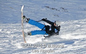 SKM 2015 -  L