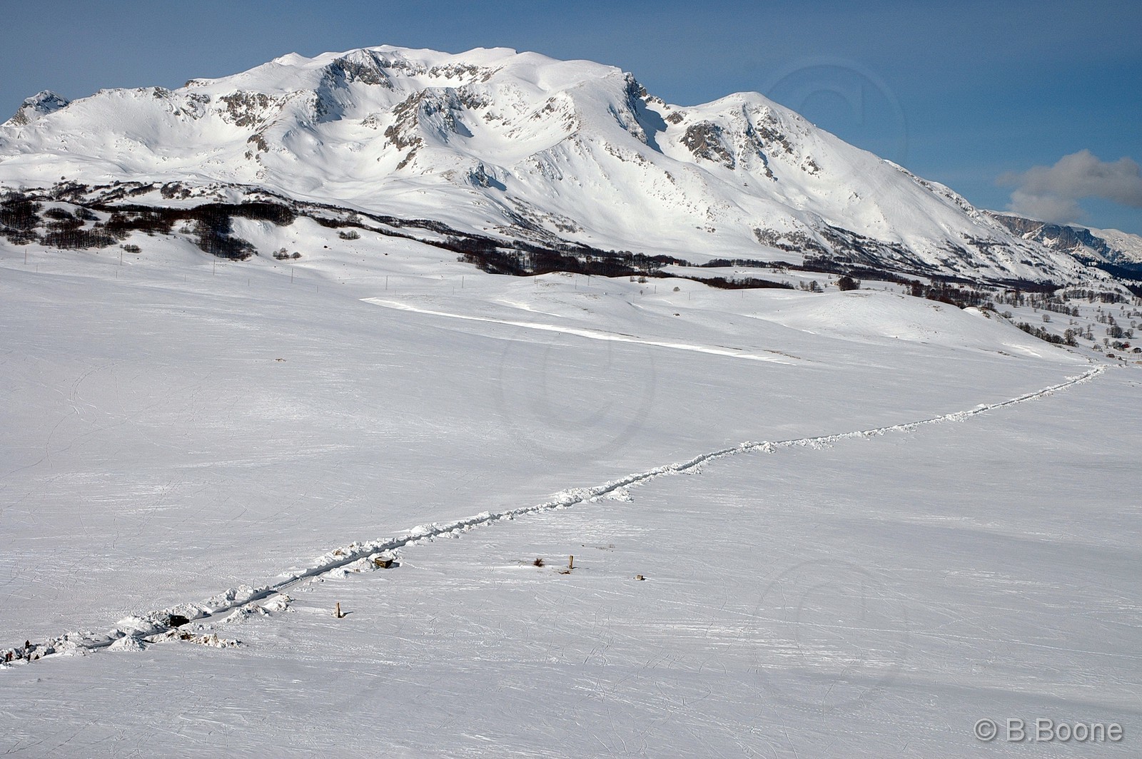 060126-248©B.Boone