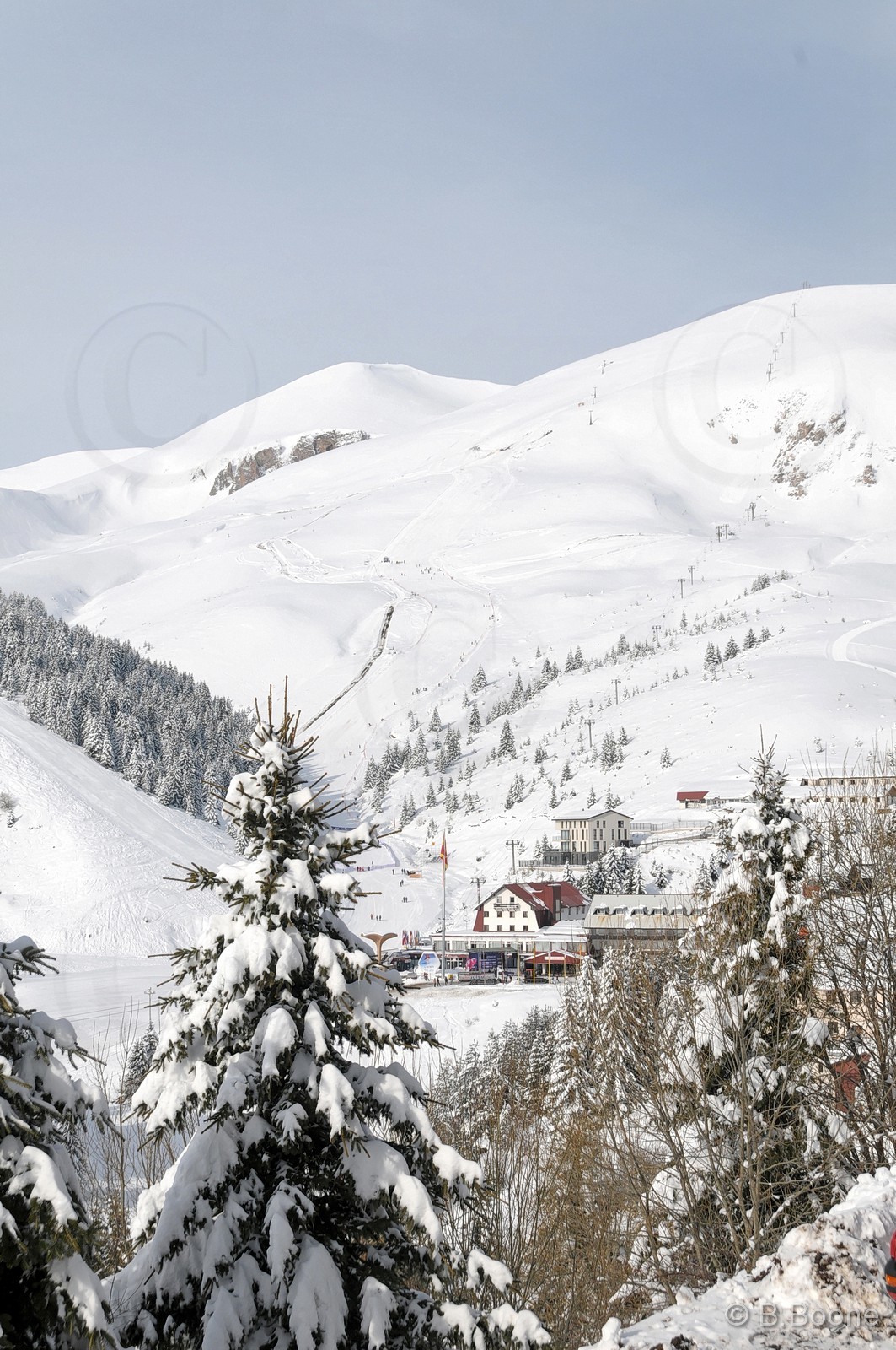 110227-0020©B.Boone