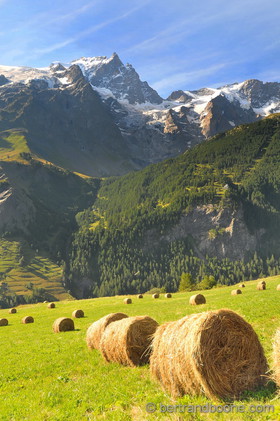 La Meije (05)
