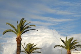 tarifa