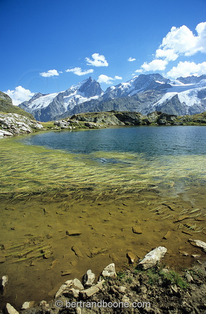 Au Pays de La Meije-Hautes Alpes-France