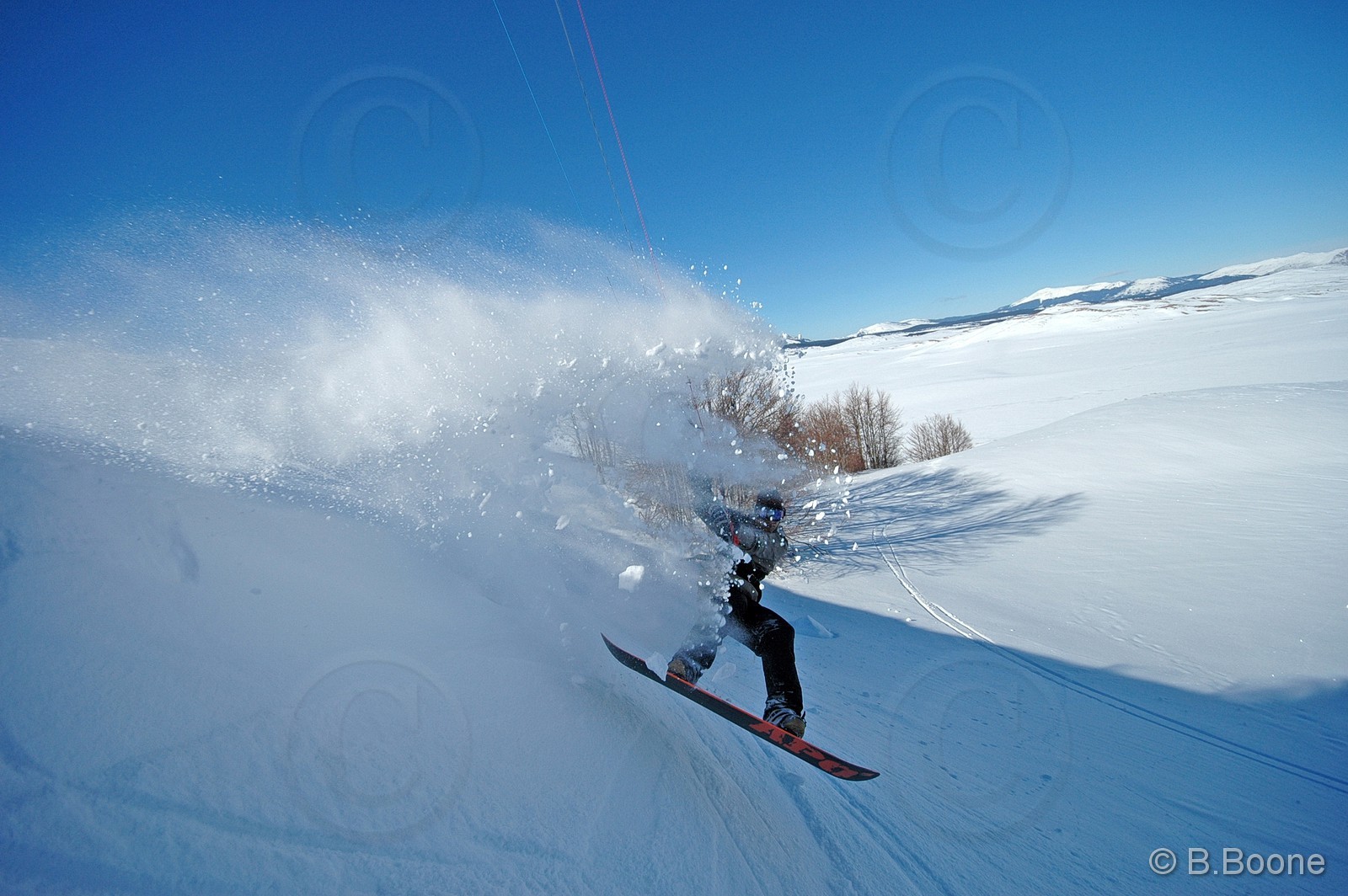 060126-449©B.Boone