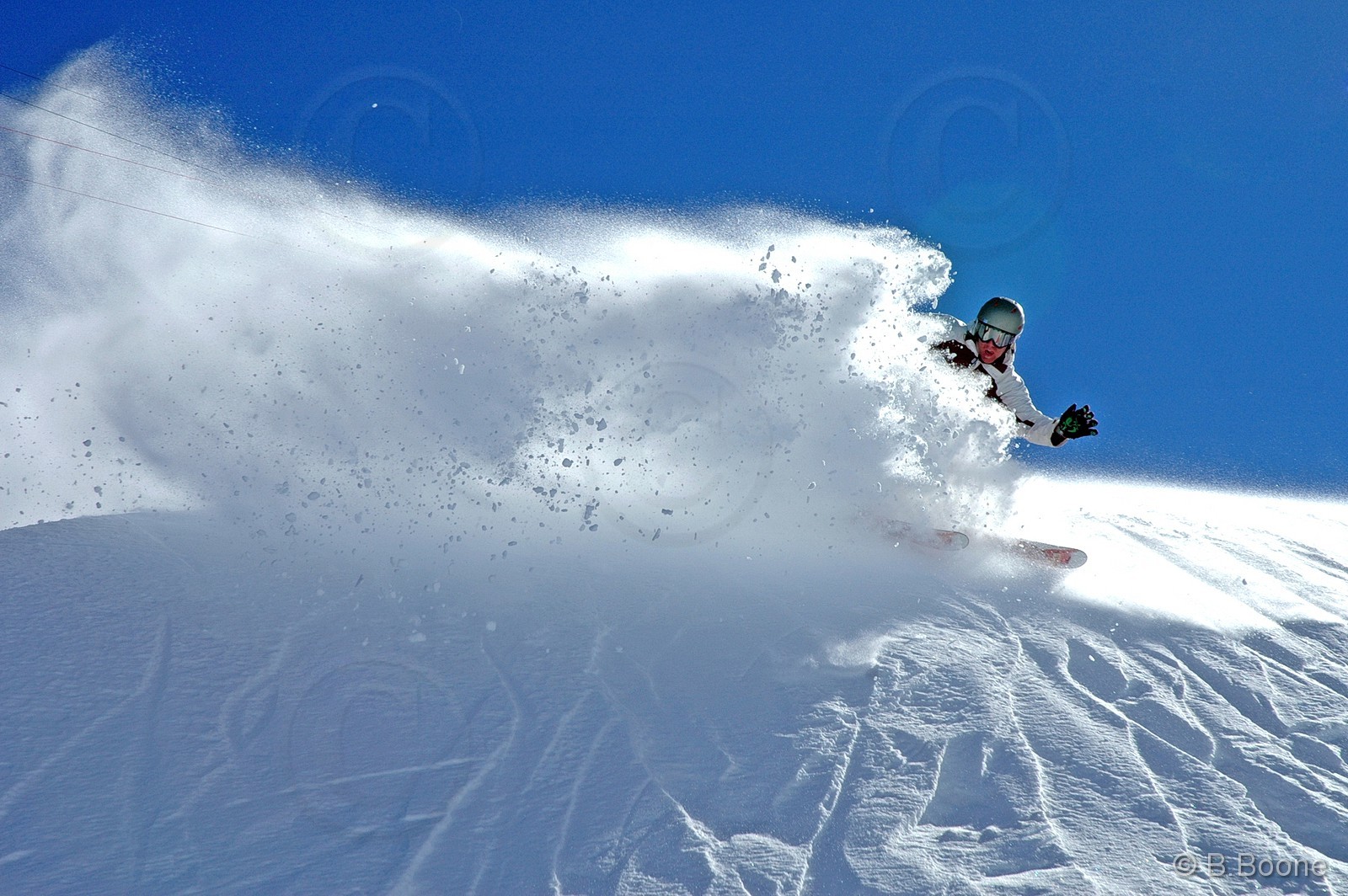 070120-164©B.Boone