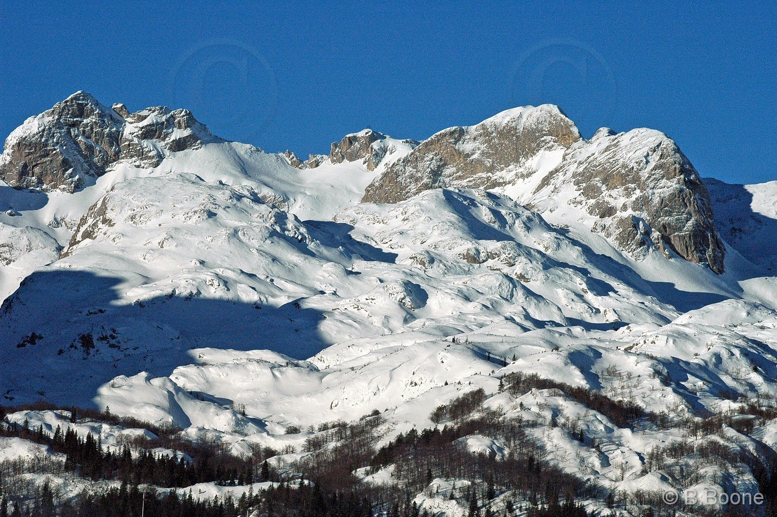 060126-294©B.Boone