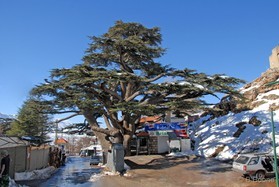 snowkite au Liban